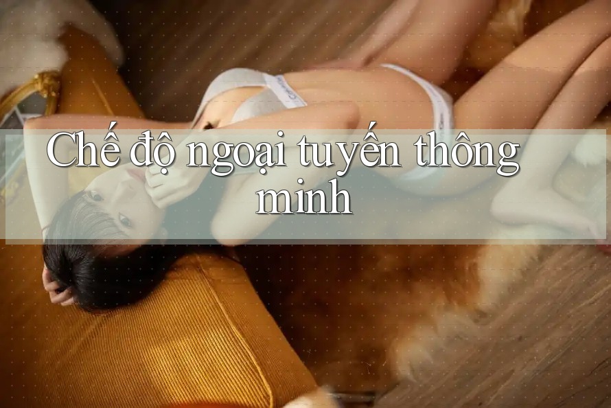 Chế độ ngoại tuyến thông minh Chế độ ngoại tuyến thông minh